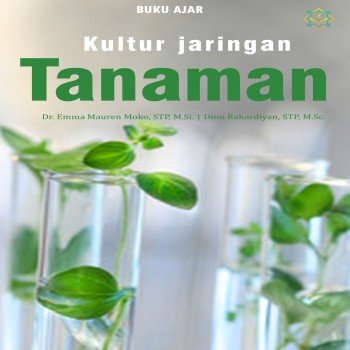 Kultur jaringan tanaman